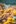 Jublasurium 250609 1249 AlainSethmacher 0012