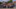 Leitungsteam