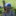 DSC 0664-1779x1779