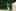 Sommerlager 2025