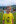 Sonntag, 13.07