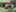 2006-07-11 18-24-37