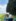 IMG 5015-3531x4545