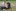 Sommerlager 2025