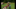 Sommerlager 2023