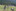 IMG 7863