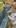 D87C1BBA-0278-4362-B92A-FB23A0192226