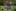 Leitungsteam Leitungsteam