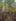 2022-11_Waldlabyrinth