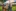 Jublasurium 250605 1831 AlainSethmacher 0027-min