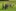 2022-10_Schottland (Regioteamanlass) 