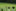 Sommerlager 2024