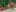 WhatsApp Iemage 2025-07-06 at 22.15.43