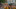 5-DSE05122-6000x3431