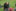 Sommerlager 2026