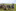 IMG 2254(1)