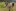 EA5F7992-3C6E-419B-BC2D-4E1D4C2B1B5C