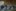 2019-11_Filmabend 