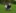 DSC 7472 neu-2935x2369