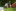 Sommerlager 2019