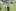 Sommerlager 2026