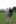 MI 23.07.2025, Schongau