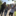 Leitung 8.Jungs-831x831