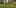 2020-10_Schinterwald