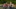 Tag 4 - Suche nach Pete&nbsp;