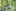 09.07.2026 (Tag 6) 09.07.2026 (Tag 6)