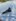 2020-01_Schatz