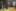 2019-10_Kochabend 