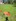 2024-08_Pandaball