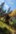 2020-10_Schinterwald