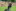 Sommerlager 2024