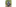 2026 2 Kalei breit2-5556x2279
