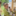 Screenshot 2026-08-21 163125-645x645