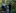 Bild Jublinis-2252x1774