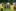 Sommerlager 2024