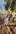 2020-10_Schinterwald