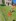 2024-08_Pandaball