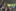 Leitungsteam