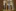 Adventsfenster 2026 Adventsfenster 2026