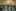 Leitungsteam