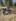 2023-03_Schinterwald