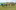 Kopie von IMG 0736-2976x1807