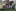 IMG 4799-4918x3378