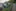 Sommerlager 2019