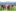 Sommerlager 2024