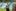 Sommerlager 2024